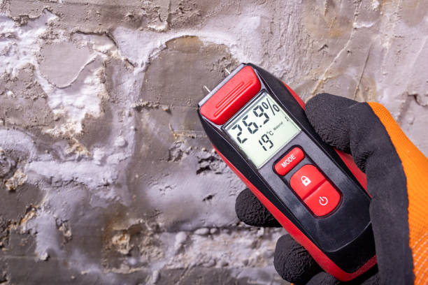 Mold Removal Process in Mccordsville, IN