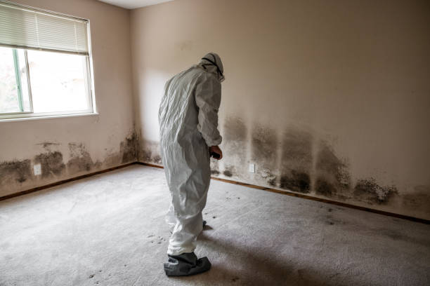 Crawl Space Mold Removal in Mccordsville, IN