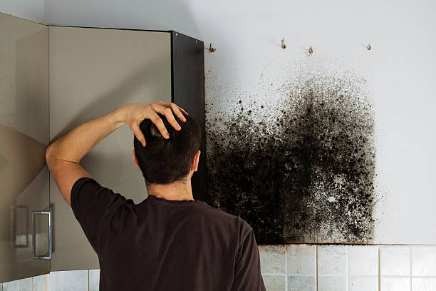 Best Mold Removal Near Me  in Mccordsville, IN